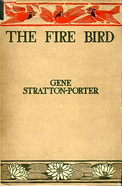 The Fire Bird [ePUB]